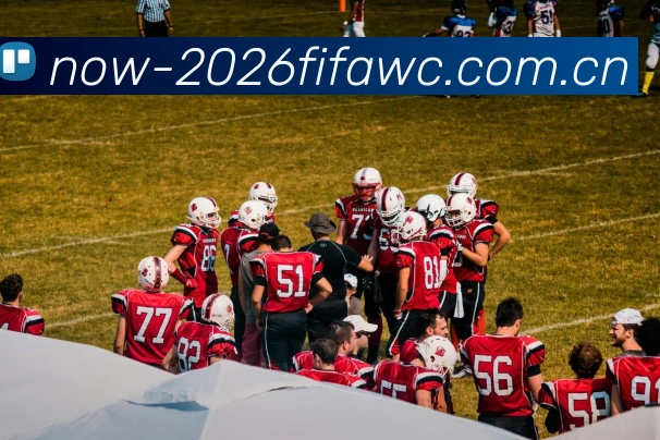 赔率分析与问答