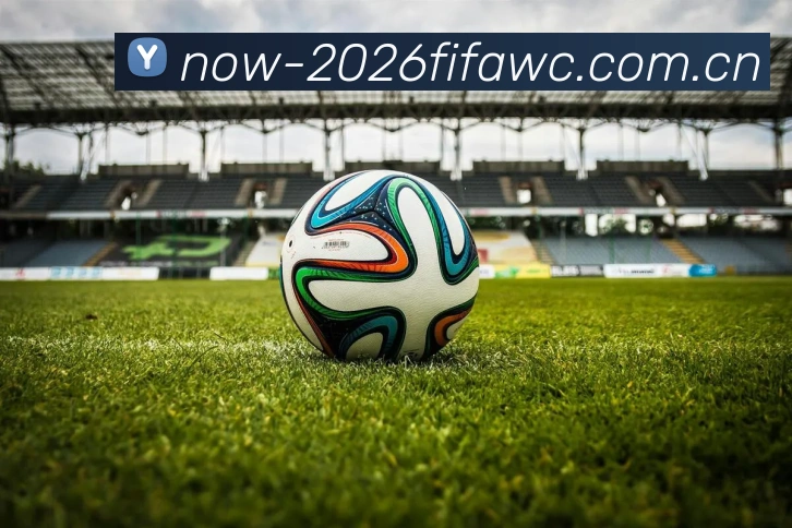 FIFA官方数据授权证书